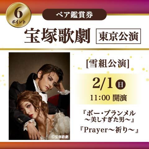 宝塚歌劇 ペア鑑賞券 (東京2/1公演)